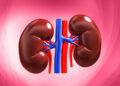 World Kidney Day -“7 Everyday Habits That Can Damage Your Kidneys and How to Protect Them”