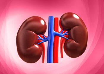 World Kidney Day -“7 Everyday Habits That Can Damage Your Kidneys and How to Protect Them”