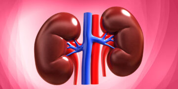 World Kidney Day -“7 Everyday Habits That Can Damage Your Kidneys and How to Protect Them”