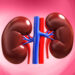 World Kidney Day -“7 Everyday Habits That Can Damage Your Kidneys and How to Protect Them”
