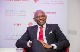 Tony Elumelu Foundation Empowers African Entrepreneurs With $115M, Driving Job Creation