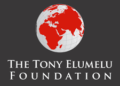 Tony Elumelu Foundation to Announce 11th Cohort of Entrepreneurs on March 22, 2025