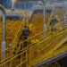 Dangote Sugar Breaks Records With N665.6 Billion in 2024 – Here’s What They’re Planning Next!
