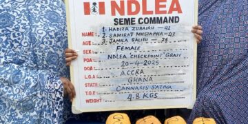NDLEA Busts Major Drug Operations Across Nigeria, Seizes Over ₦1 Billion Worth of Cannabis in Lagos Hotel Raid