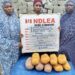 NDLEA Busts Major Drug Operations Across Nigeria, Seizes Over ₦1 Billion Worth of Cannabis in Lagos Hotel Raid