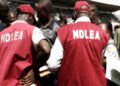 ‘Monkey Tail’ Crisis Deepens As NDLEA Flags 21–25 Age Group As Hardest Hit in Bayelsa