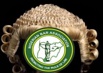 NBA Warns of Judicial Overreach in Party Disputes Ahead of 2027 Elections