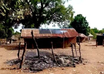 Amnesty International Faults Nigerian Authorities Over Renewed Benue Killings