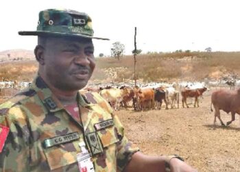 Plateau Killings: Survivor Alleges Military Inaction As Over 20 Die in Bokkos Attack