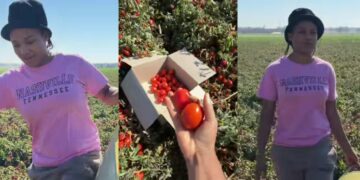 Hospital Wards Exchanged for Farmland.