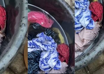 Close Call With a Scorpion: Viral Okrika Incident Raises Quiet Safety Questions