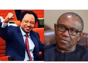 “Don’t Blame Tinubu”: Shehu Sani Says Obi’s New Party Crisis Is an Internal Political Fallout