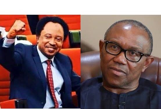 “Don’t Blame Tinubu”: Shehu Sani Says Obi’s New Party Crisis Is an Internal Political Fallout